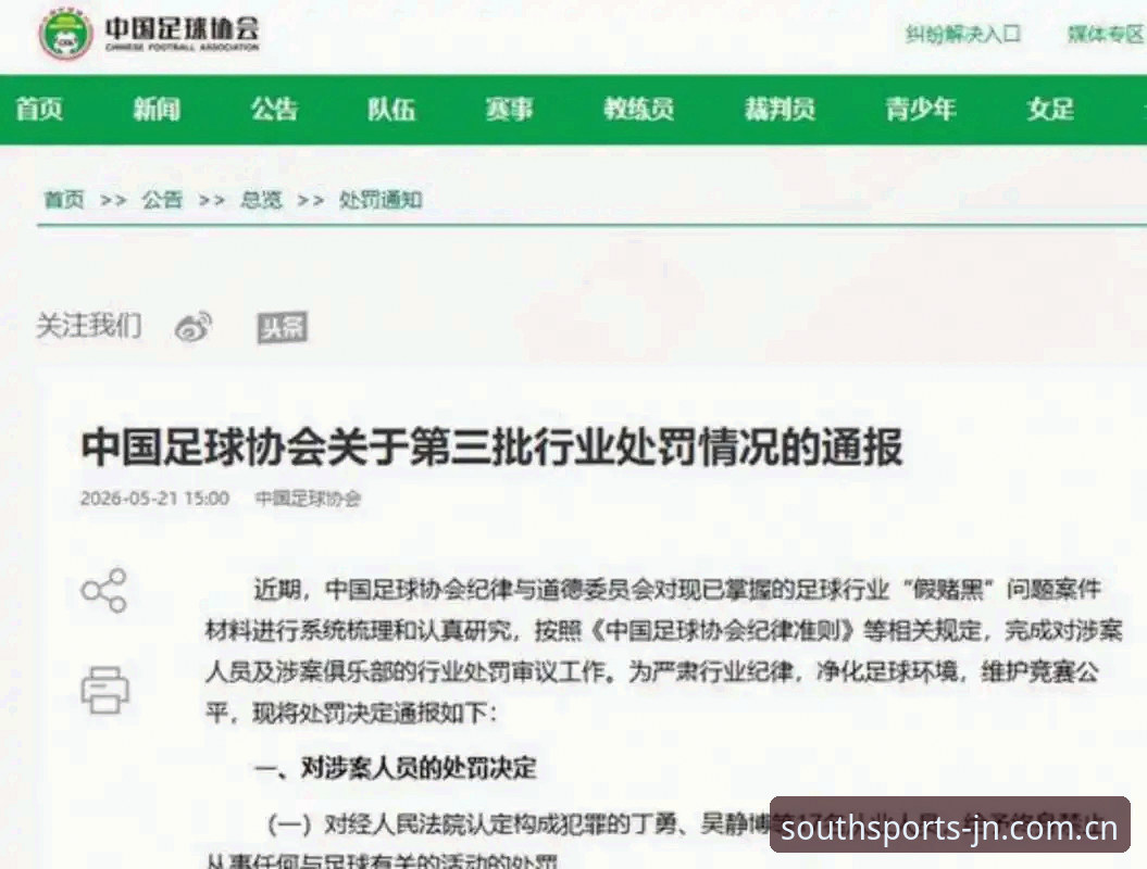 足协第三批禁足名单最新动态：65名从业人员受罚，行业乱象引关注